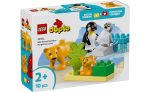 10442 | LEGO® DUPLO® Wild Animal Families: Penguins & Lions Discount