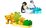 10442 | LEGO® DUPLO® Wild Animal Families: Penguins & Lions Discount